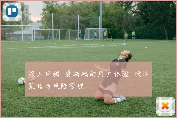 深入评测_爱游戏的用户体验_投注策略与风险管理