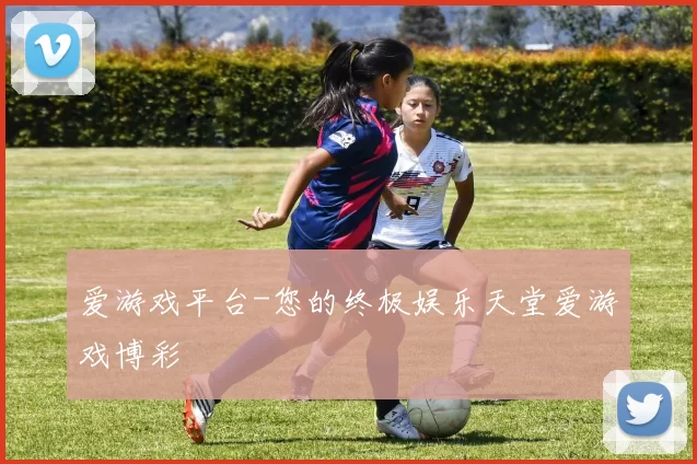 爱游戏平台-您的终极娱乐天堂爱游戏博彩