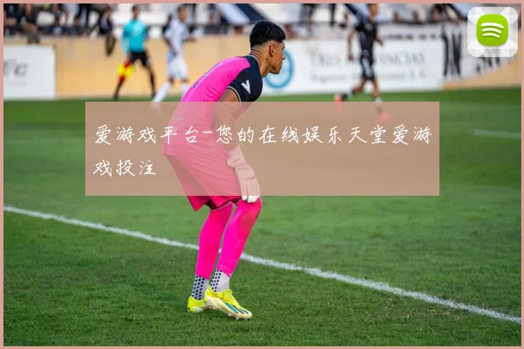爱游戏平台-您的在线娱乐天堂爱游戏投注
