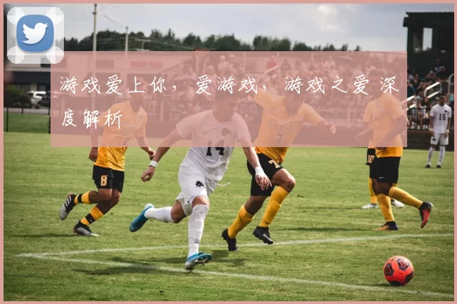 游戏爱上你，爱游戏，游戏之爱 深度解析