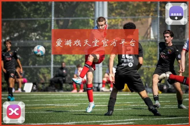 爱游戏天堂官方平台