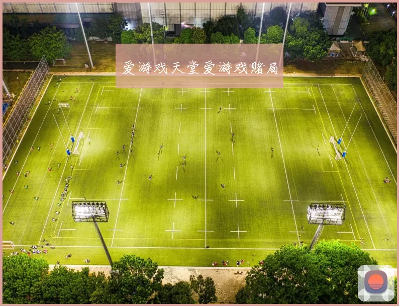 爱游戏天堂爱游戏赌局