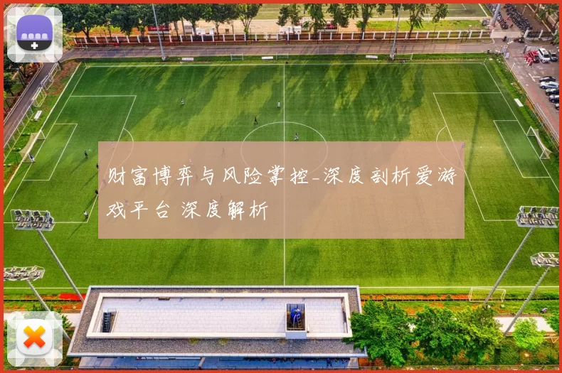 财富博弈与风险掌控_深度剖析爱游戏平台 深度解析