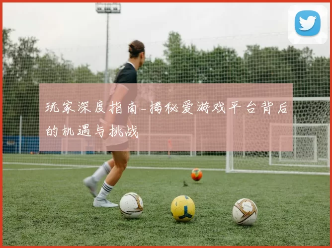 玩家深度指南_揭秘爱游戏平台背后的机遇与挑战