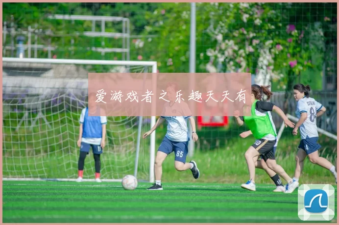 爱游戏者之乐趣天天有