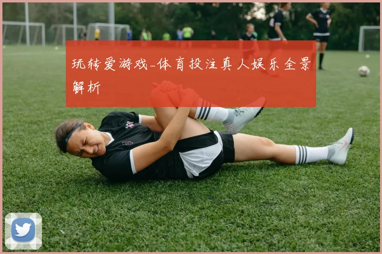 玩转爱游戏_体育投注真人娱乐全景解析