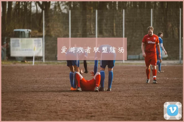 爱游戏者联盟赌场