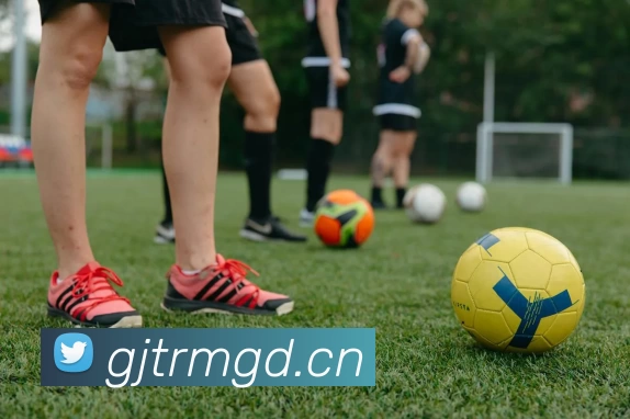 爱游戏体育APP 封面图